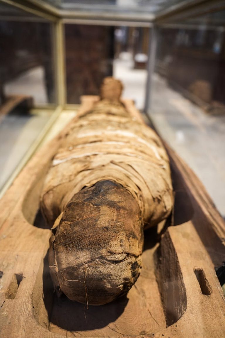 ancient egyptian mummy in museum exhibit